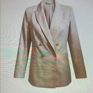 Elegant Double-Breasted Silver Blazer